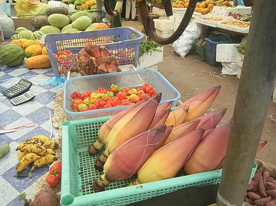 马累男士本地市场-马累必去景点