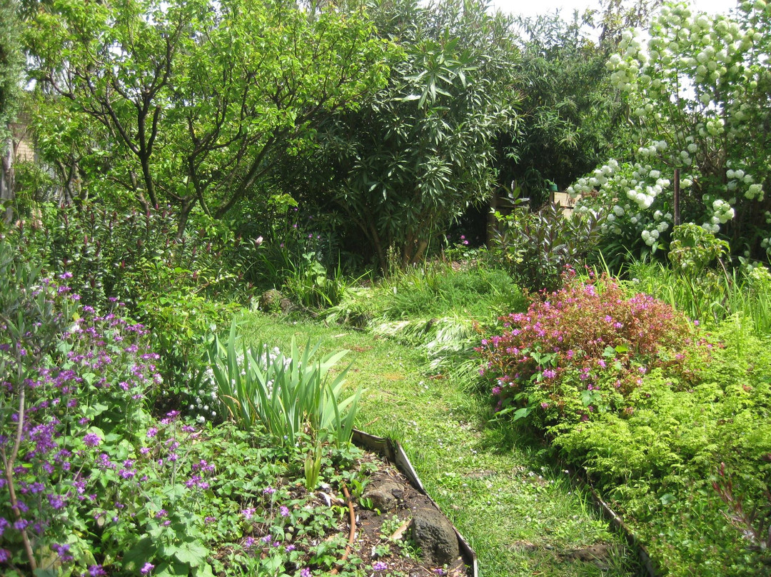 Tamasha House Bed & Breakfast主图