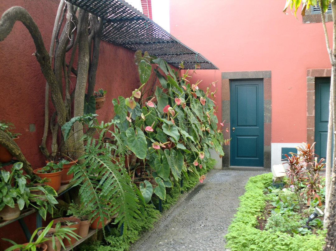 Frederico de Freitas Museum-沙尔必去景点