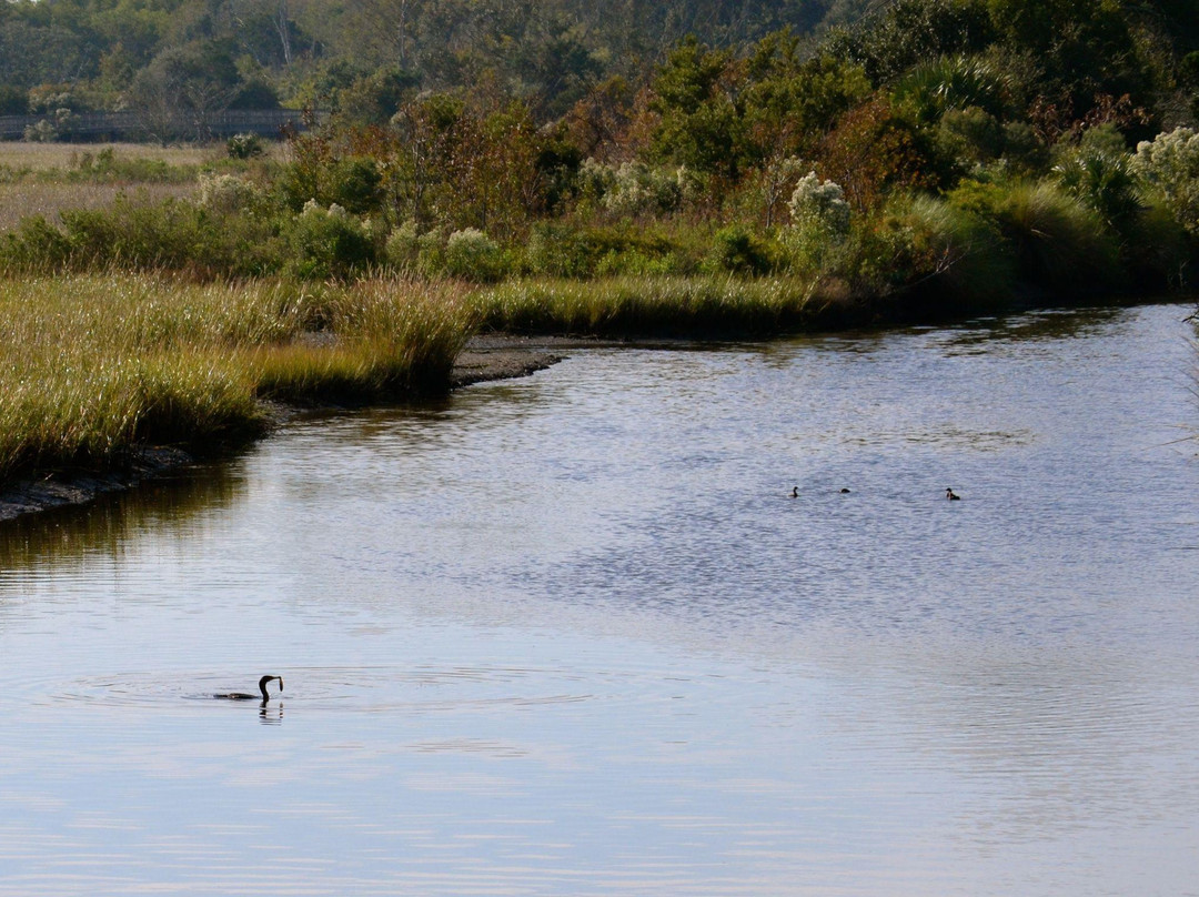 Egan's Creek Greenway-费尔南迪纳岛必去景点