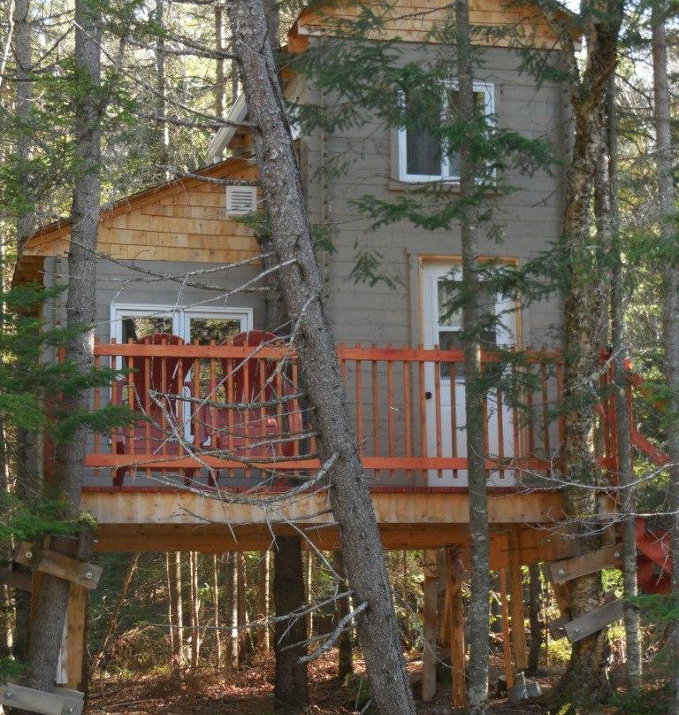 Sous un Ciel etoile主图