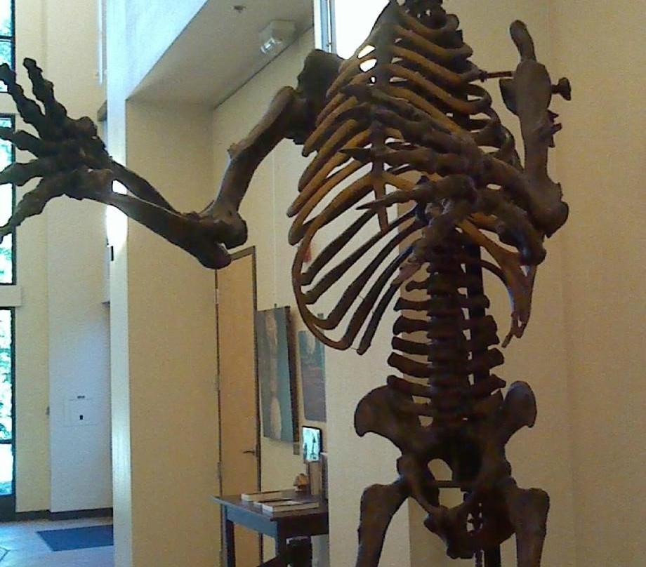 Gateway Science Museum-奇科必去景点