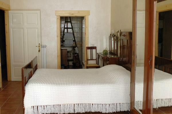 B&B Animali Selvaggi