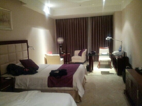 南阳富唐中州国际饭店-客卧