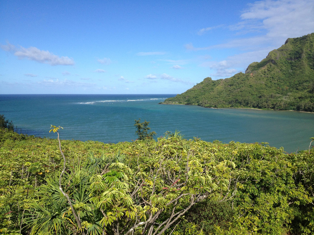 卡哈纳湾海滨公园-瓦胡岛必去景点
