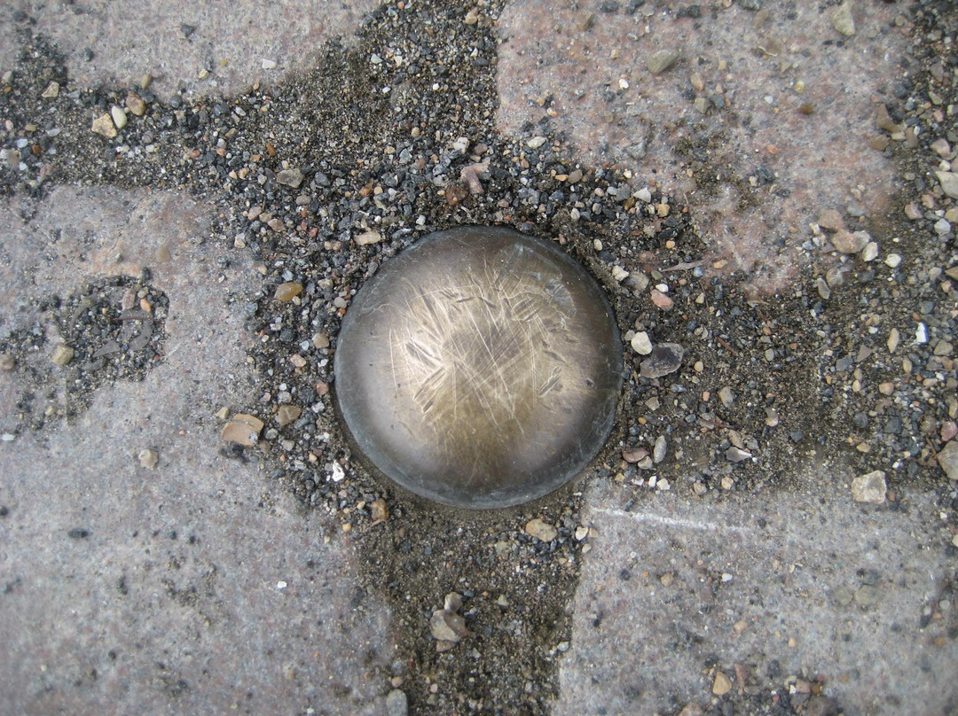 Sortebroedre Torv-欧登塞必去景点