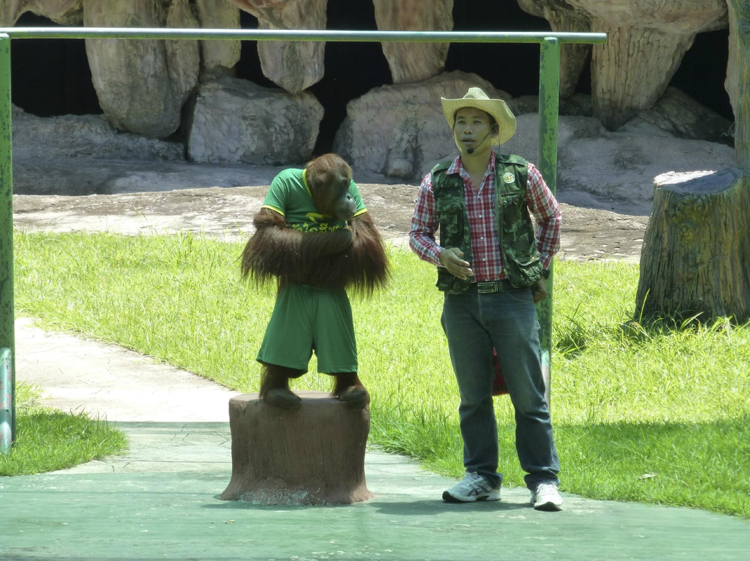 Lopburi Zoo景点图片