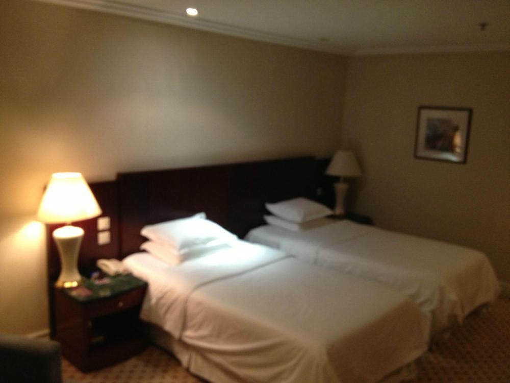 金丝利喜来登酒店-客卧