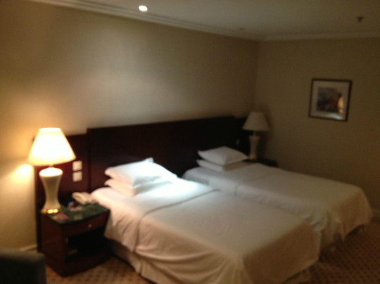 金丝利喜来登酒店主图