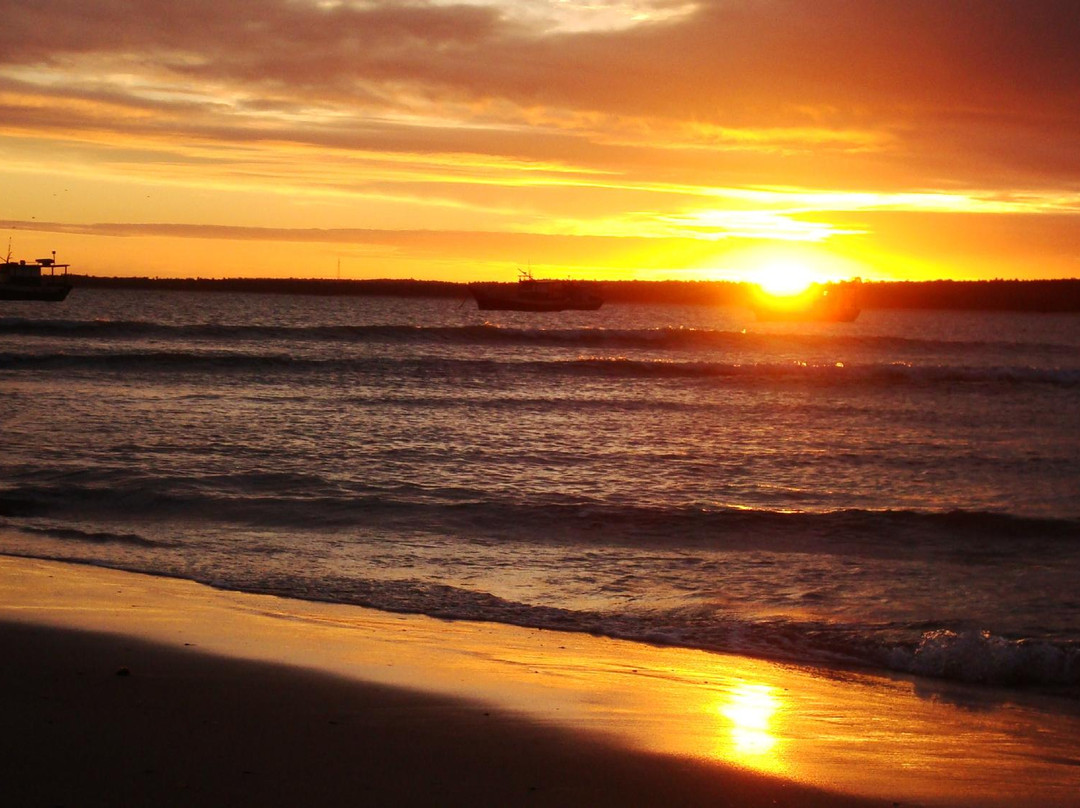 Pontal do Coruripe Beach-Coruripe必去景点