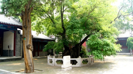 定州文庙-定州市必去景点