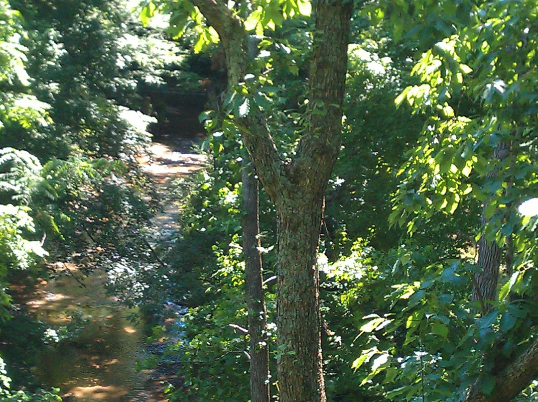 Honeysuckle Hill Farm Zip Line景点图片