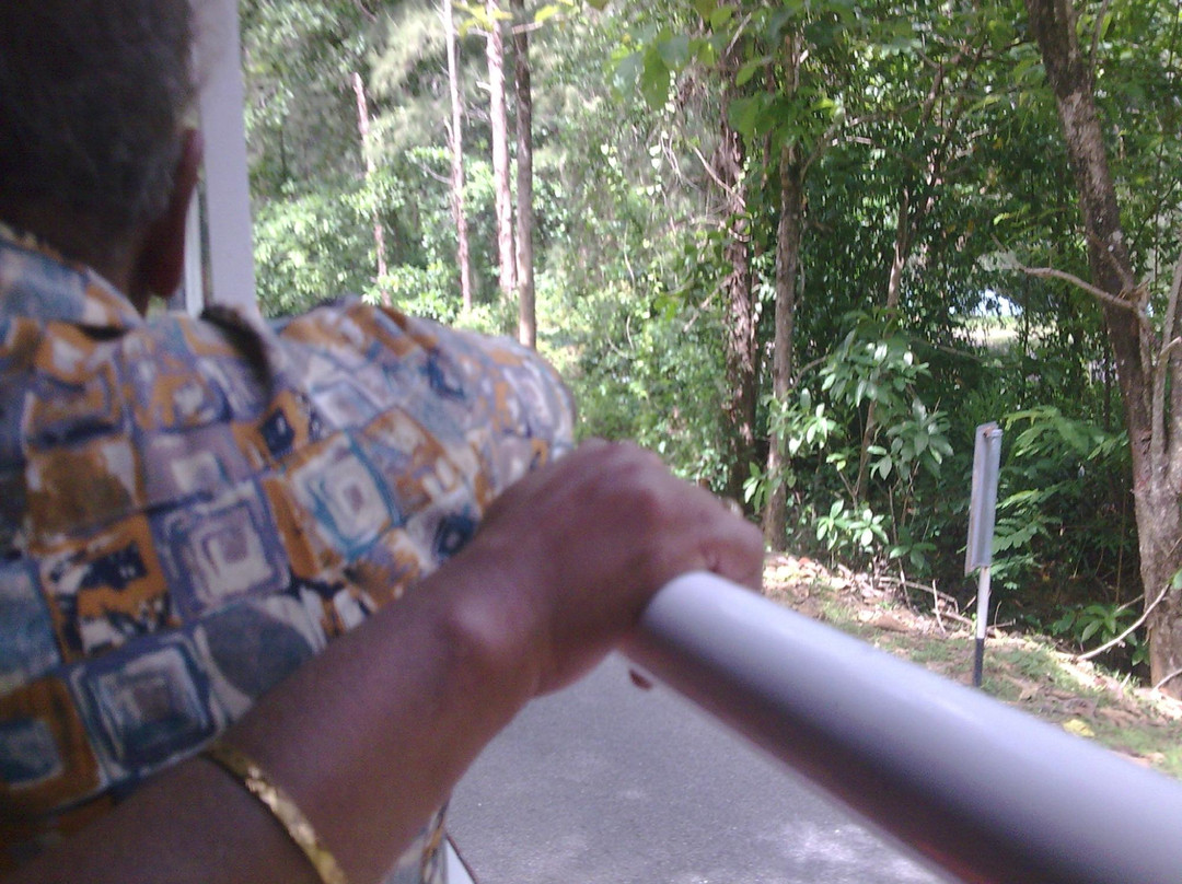 Langkawi Duck Tours- Day Tours景点图片