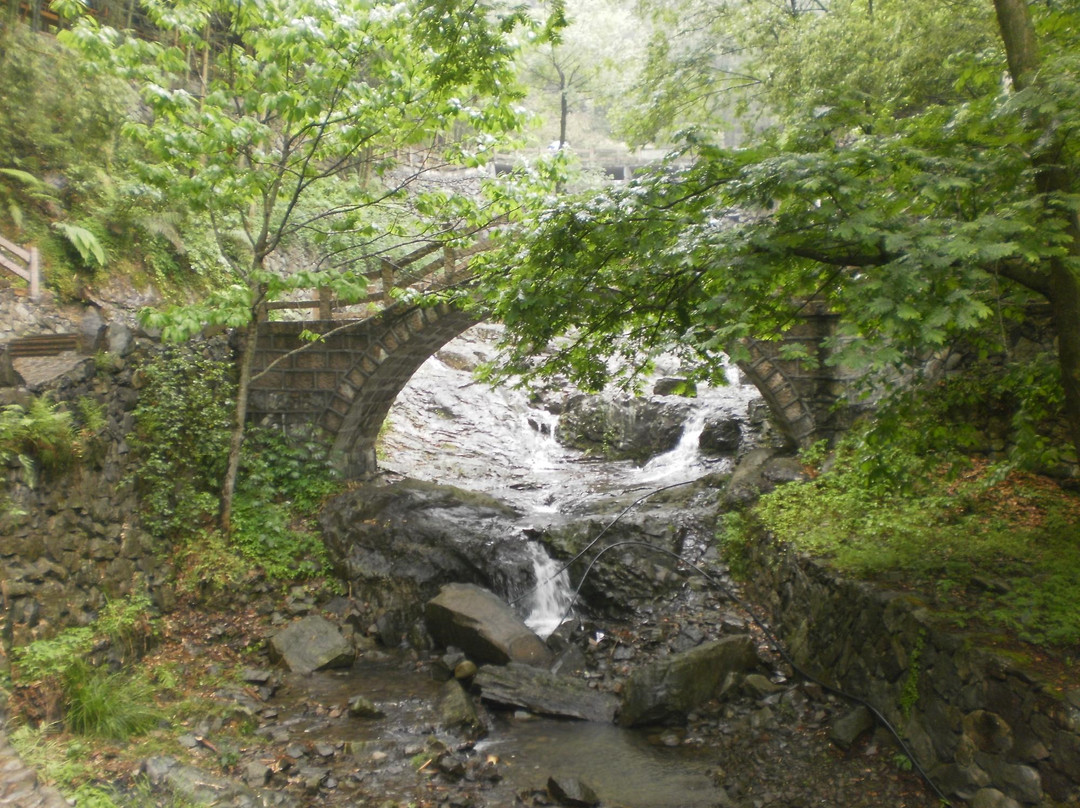 楠溪江景点图片