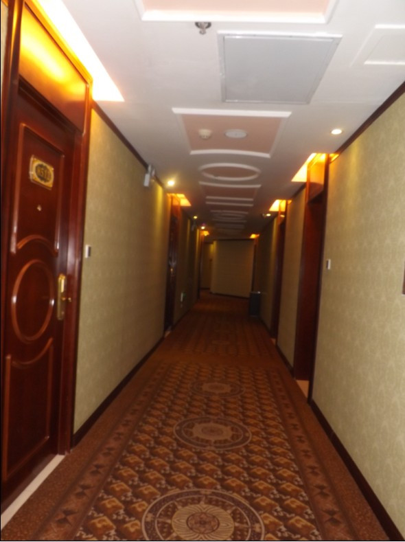 安阳维也纳酒店主图