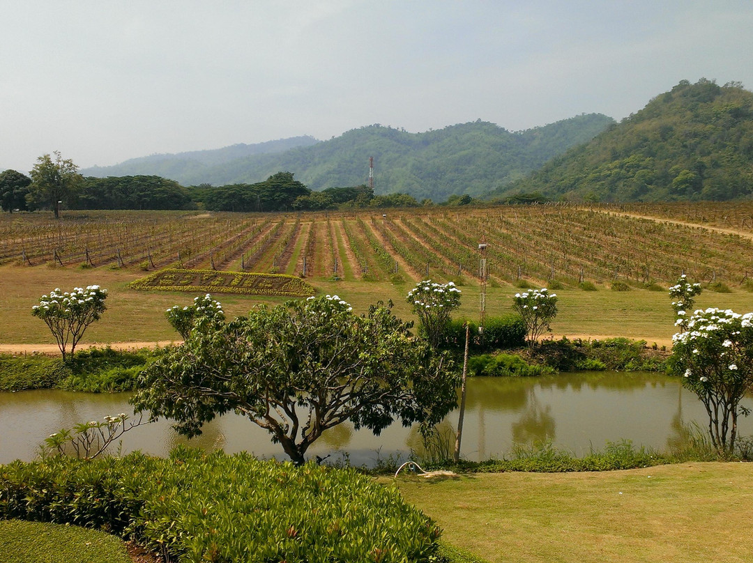 PB Valley Khao Yai Winery景点图片