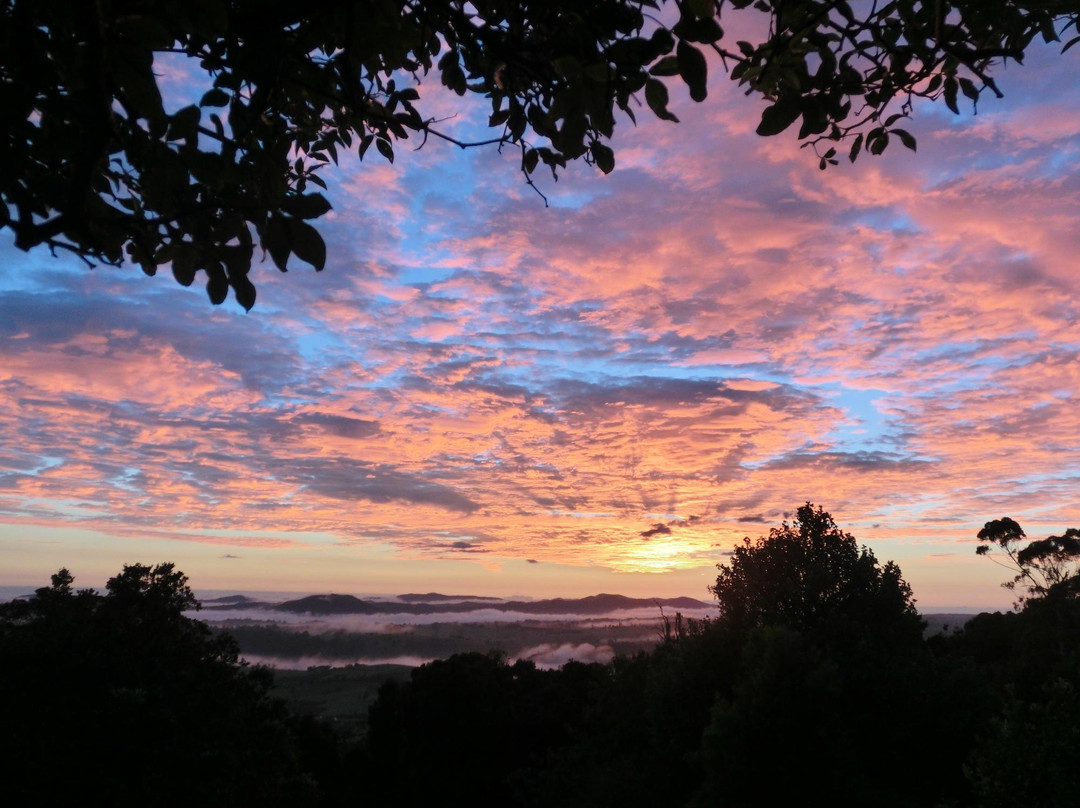 Bostobrick旅游攻略图片