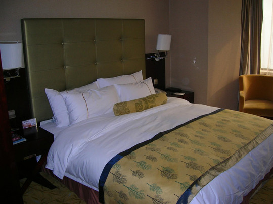 西安新兴温德姆酒店主图