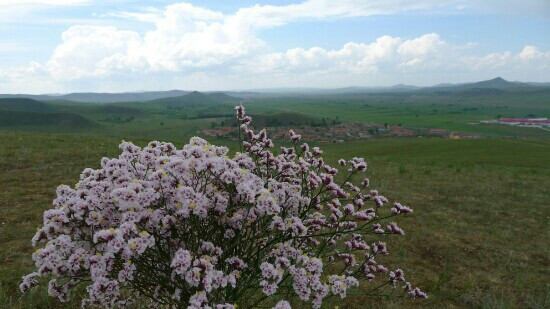 丰宁坝上草原-丰宁满族自治县必去景点