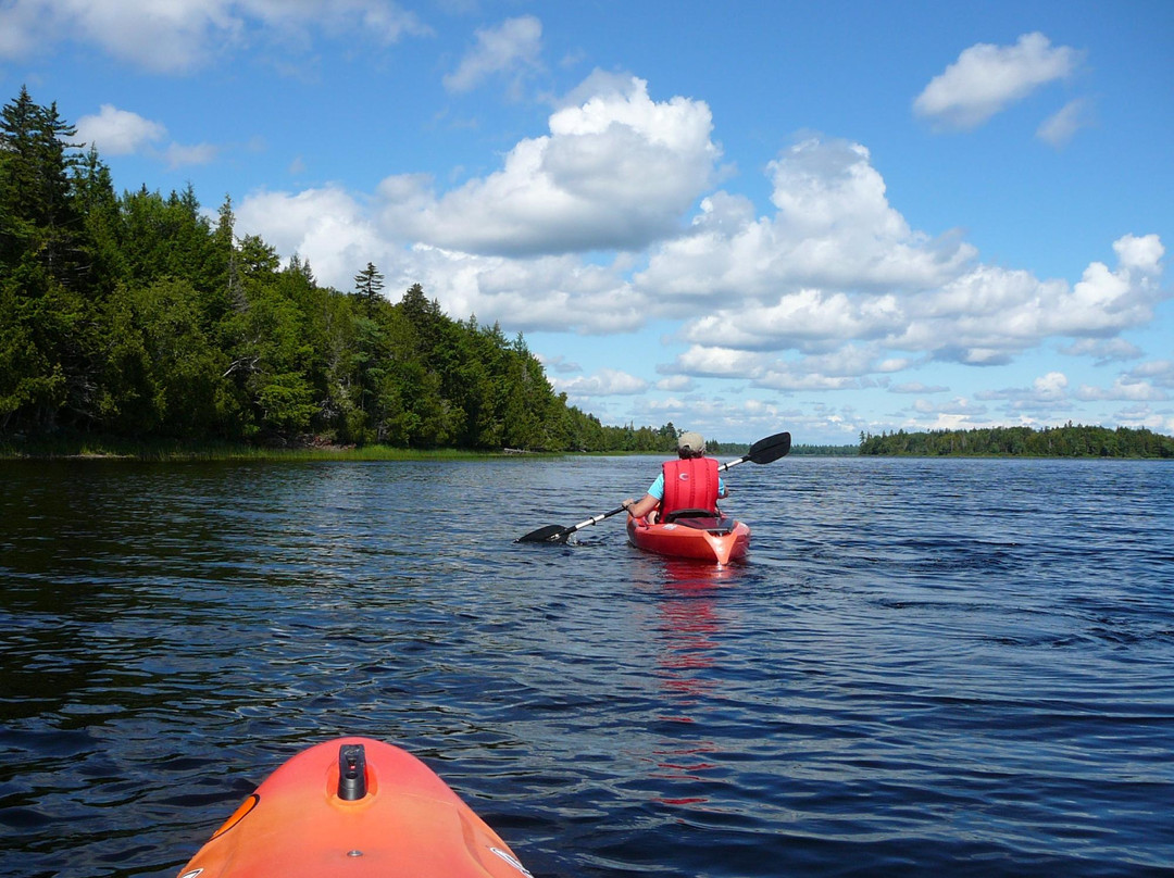 Sunrise Canoe and Kayak-Machias必去景点