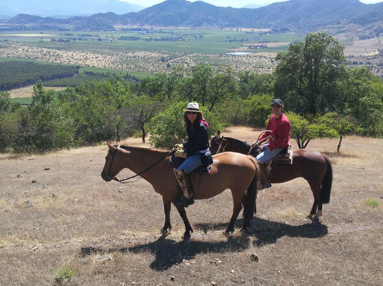 Horseback Rides Santa Cruz-圣克鲁斯必去景点