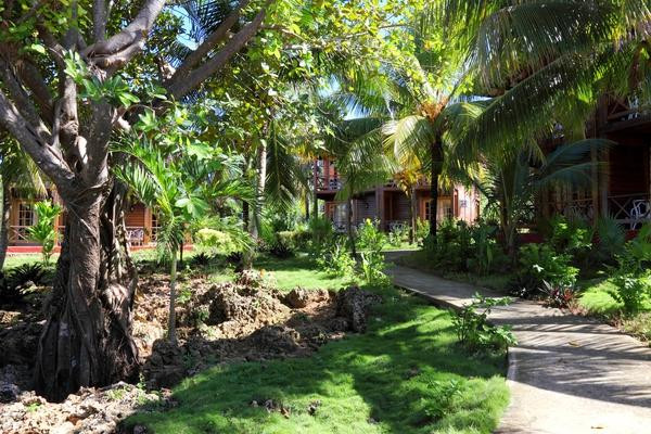 Villa Gaviota Baracoa主图