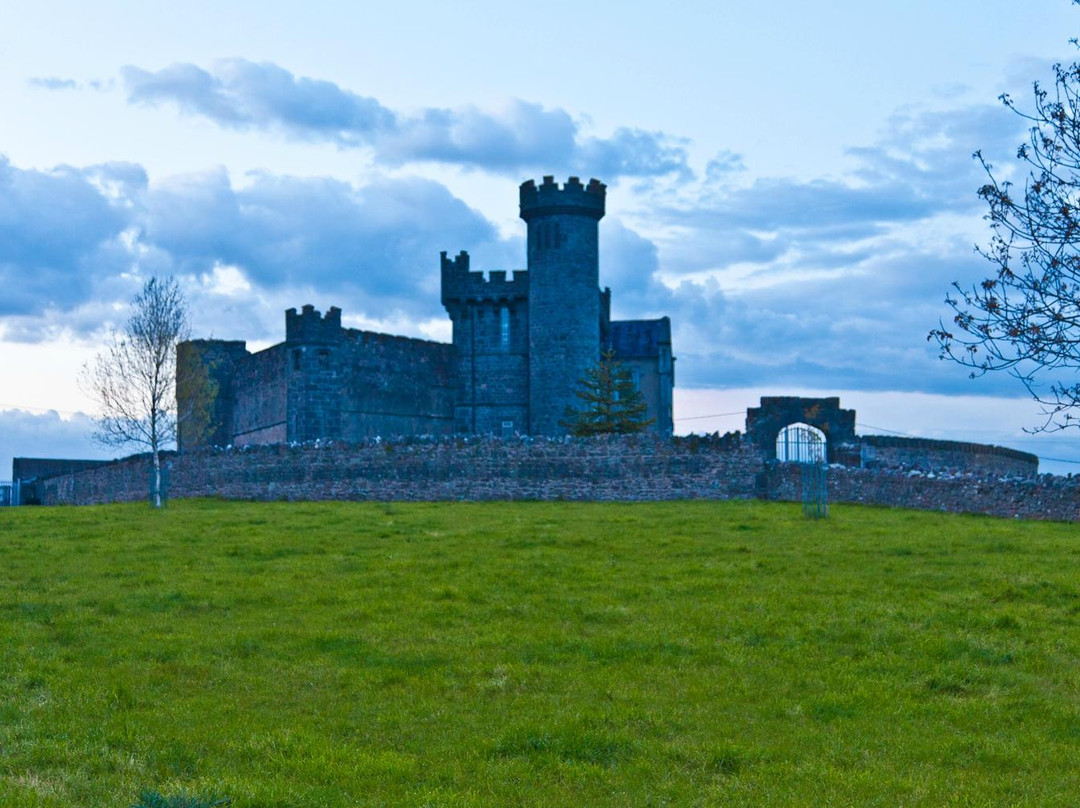 Carrigeen Castle主图