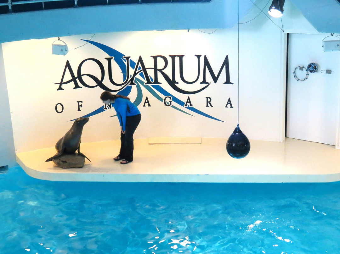 尼亚加拉水族馆-尼亚加拉大瀑布必去景点