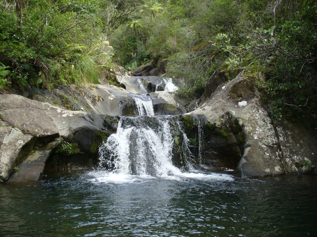 RAPAURA Watergardens-Thames必去景点
