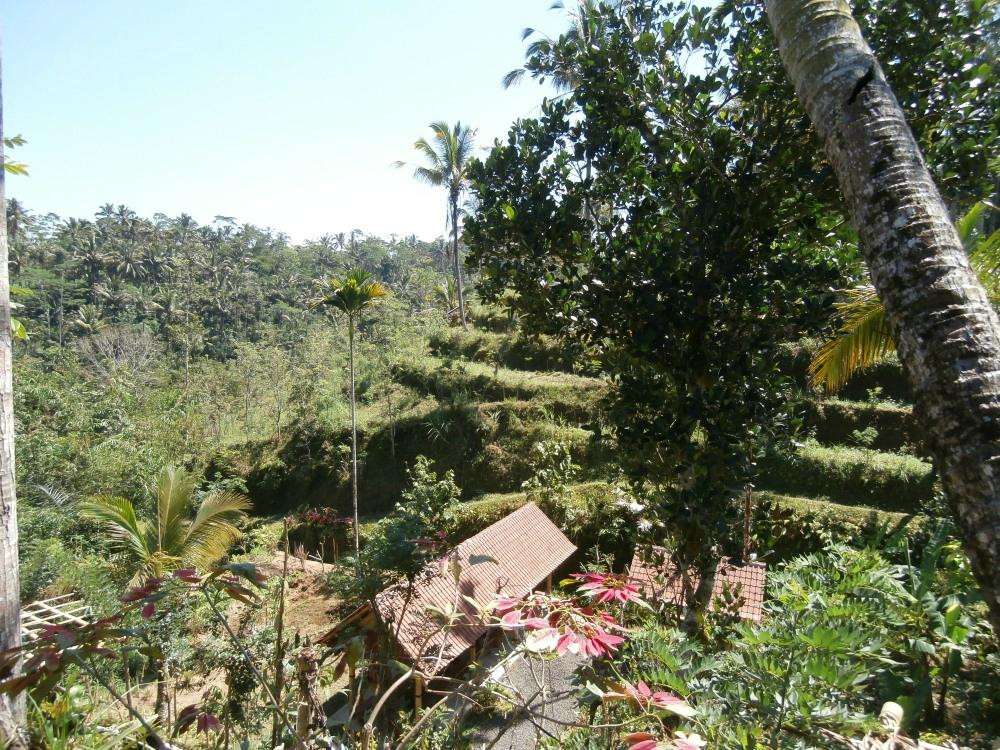 Satria Agrowisata-坦帕克西林必去景点