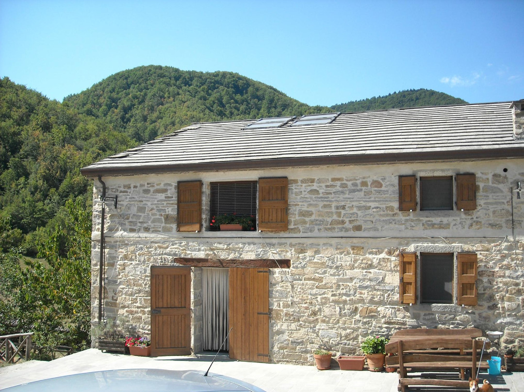 Agriturismo Il Poderone主图
