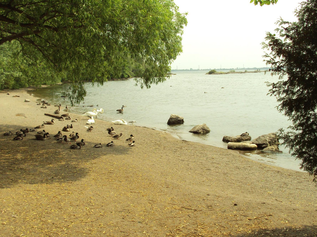Burlington Waterfront Trail-伯灵顿必去景点
