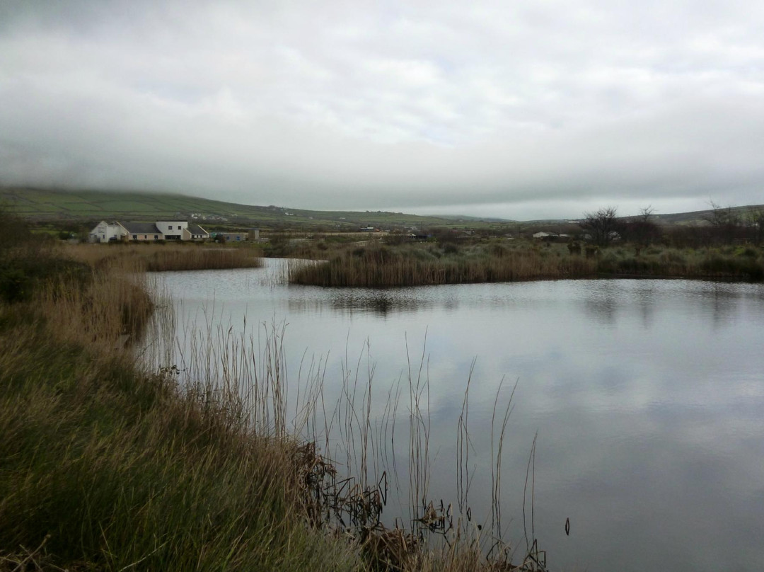 Dingle Wildlife & Seal Sanctuary-Lispole必去景点