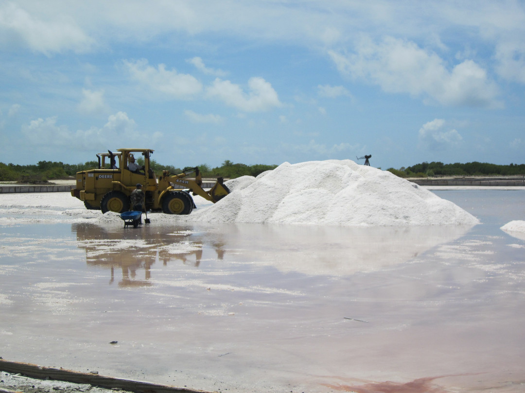 Cabo Rojo National Wildlife Refuge-Cabo Rojo必去景点
