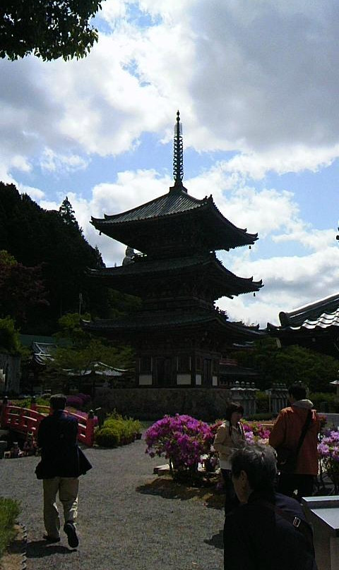 Tsubosaka-dera Temple景点图片