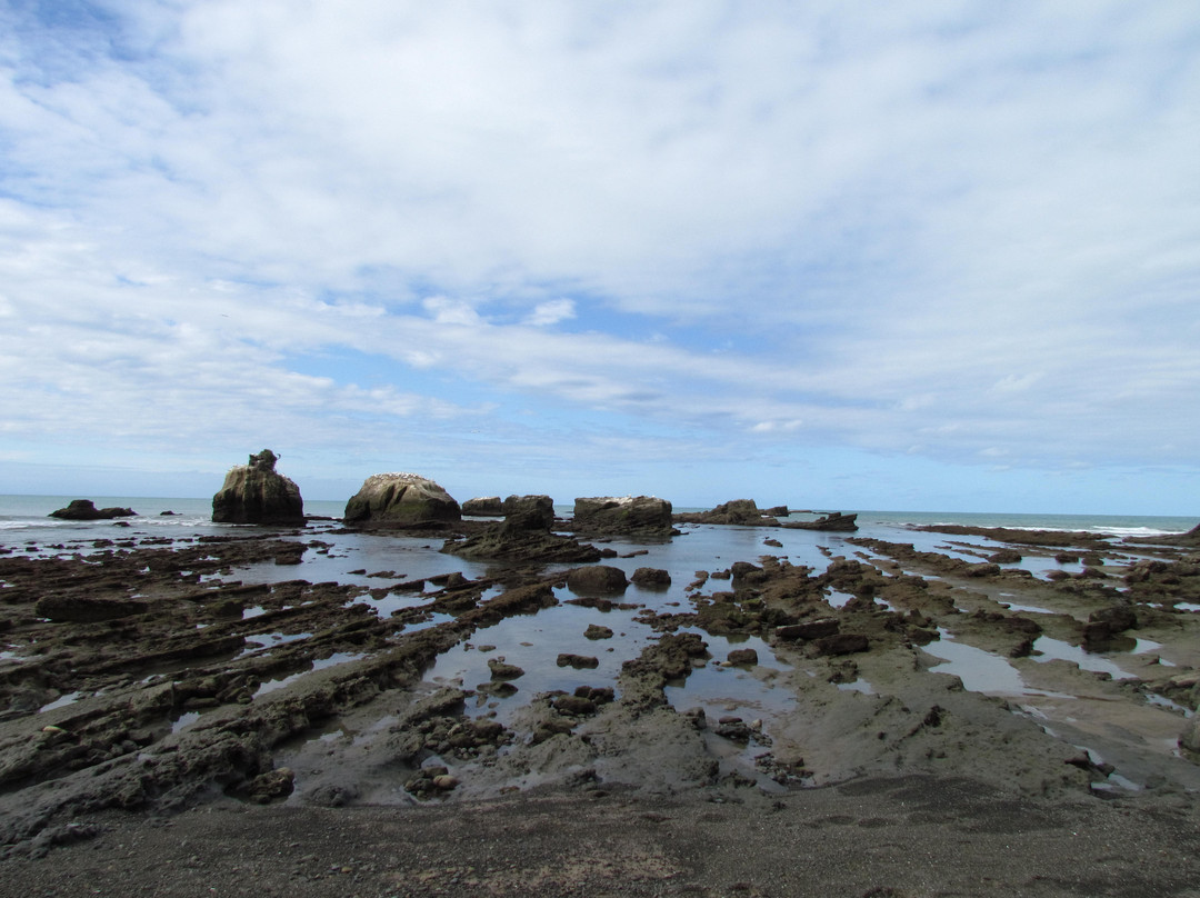 Cape Kidnappers景点图片
