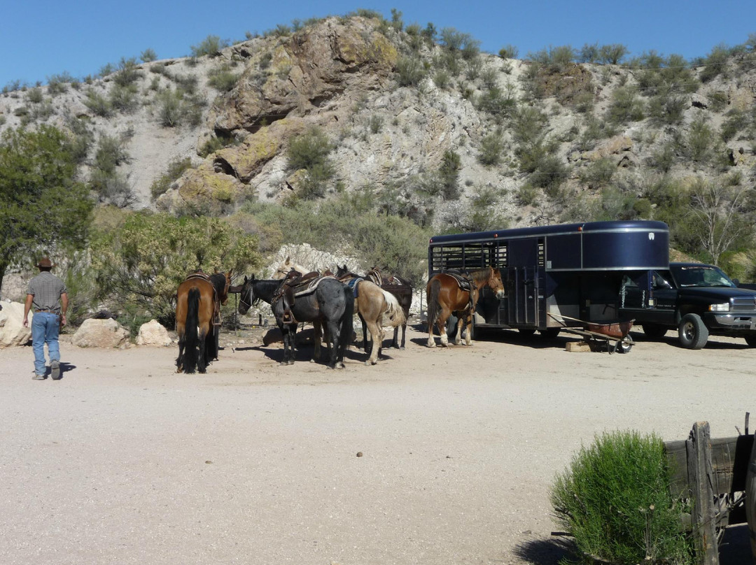 Cowboy Way Adventures-Wickenburg必去景点