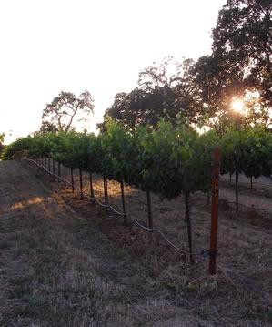 Pierce Ranch Vineyards Tasting Room-蒙特雷必去景点