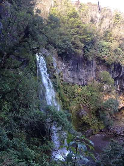 Dawson Falls景点图片