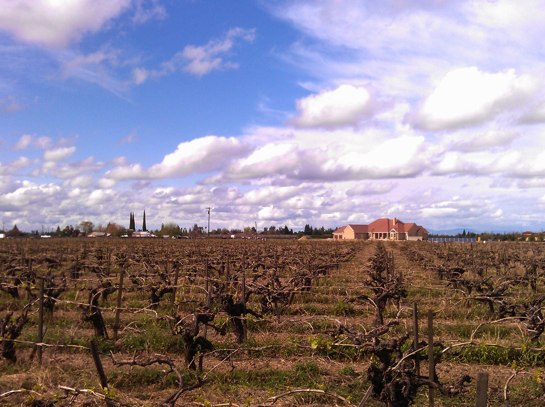 Quady Winery-马德拉必去景点