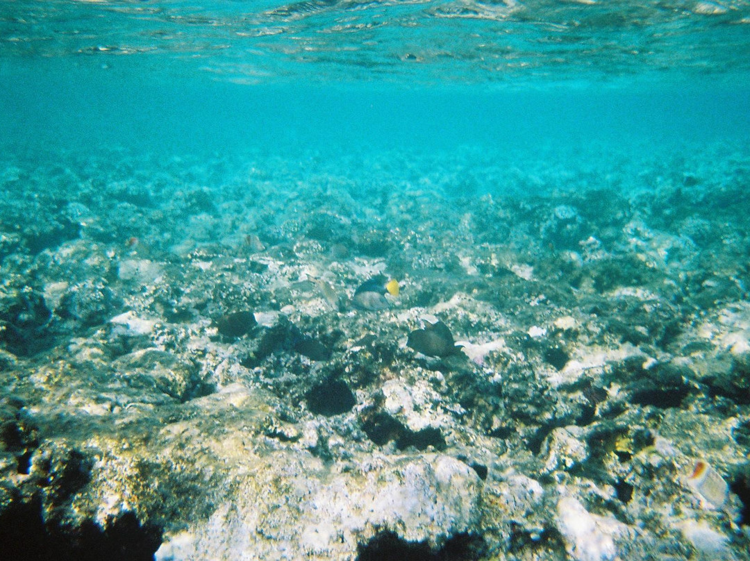 Blue Hole-达哈卜必去景点