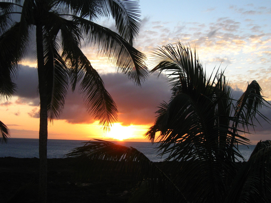 热带水域酒店主图