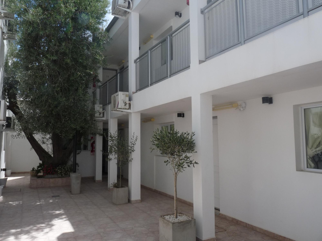 El Olivo Hotel主图