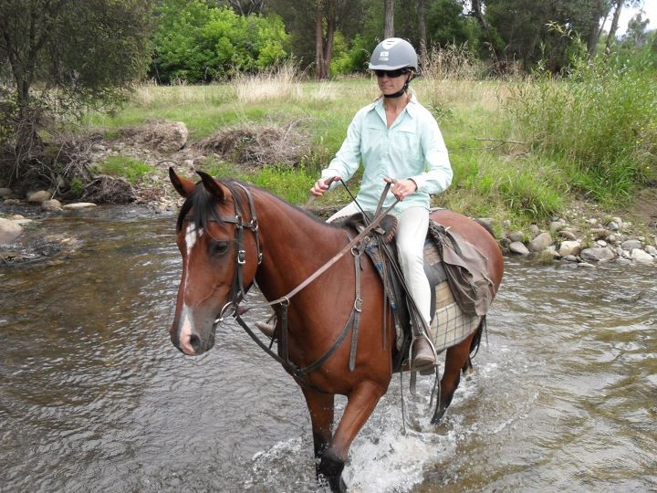 Bogong Horseback Adventures景点图片