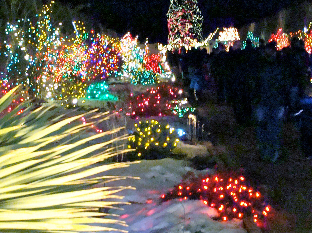 丹佛植物园-丹佛必去景点