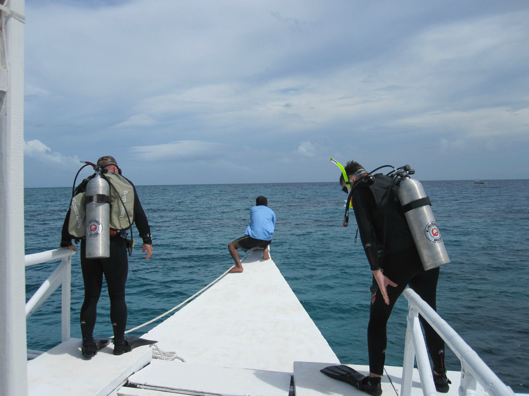 Dive and Adventure Philippines景点图片