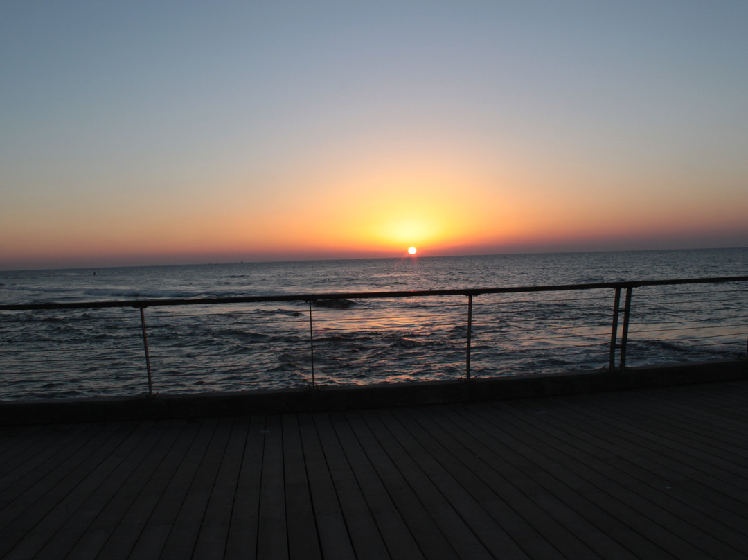 Old Tel Aviv Port Area景点图片