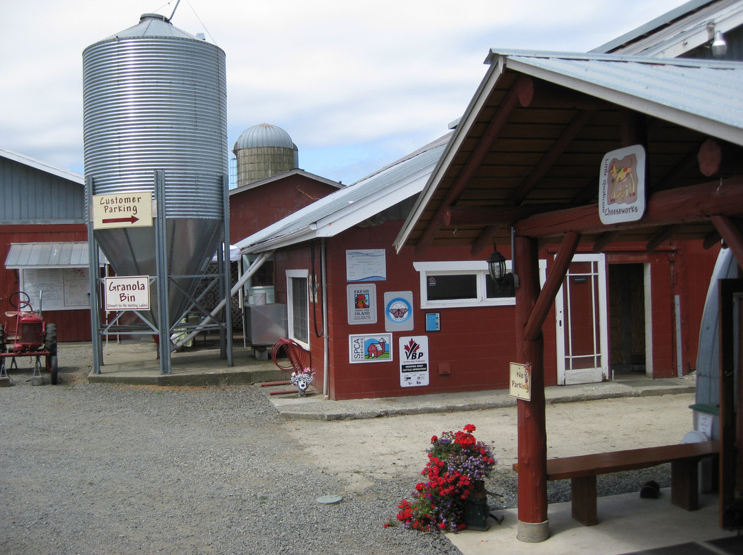 Little Qualicum Cheeseworks景点图片