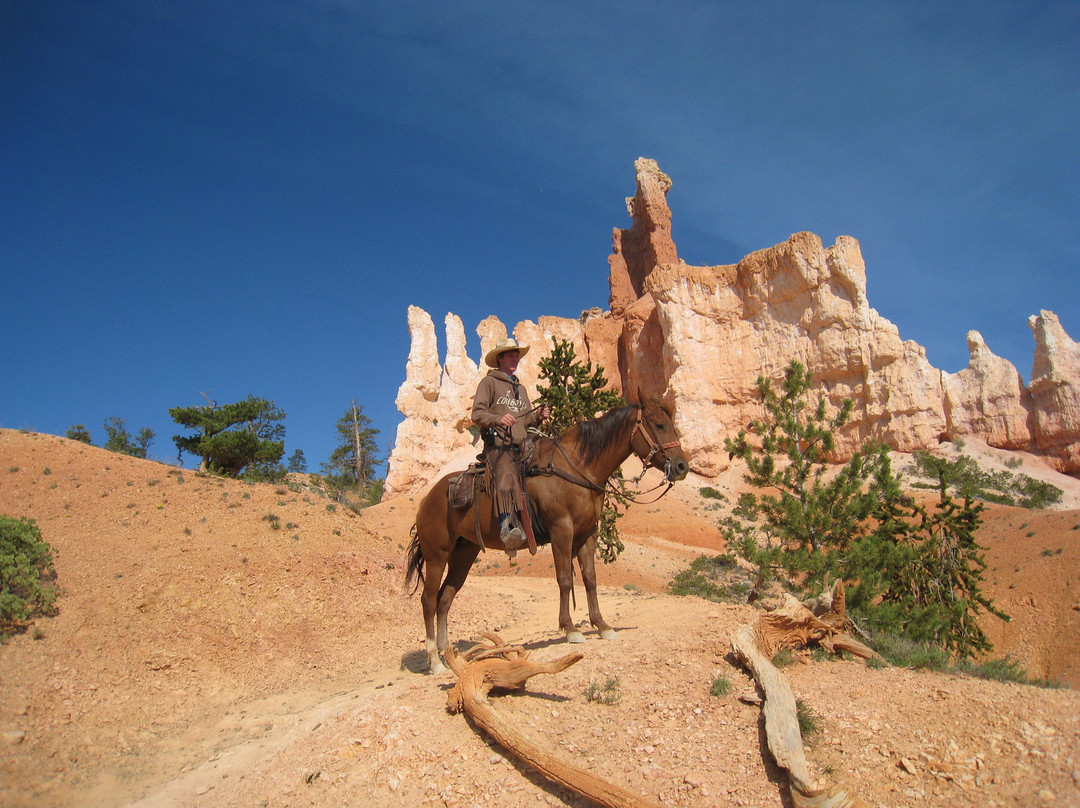 Canyon Trail Rides-特罗皮克必去景点