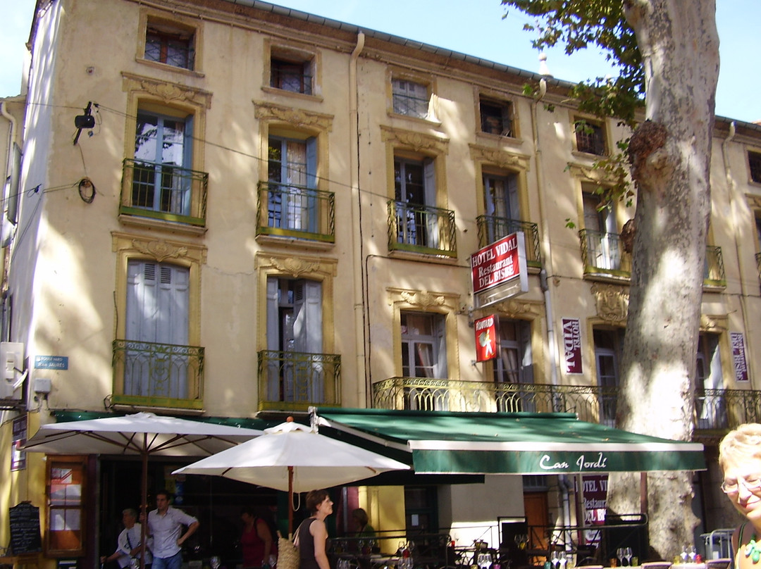 Ceret酒店住宿-Hotel Vidal